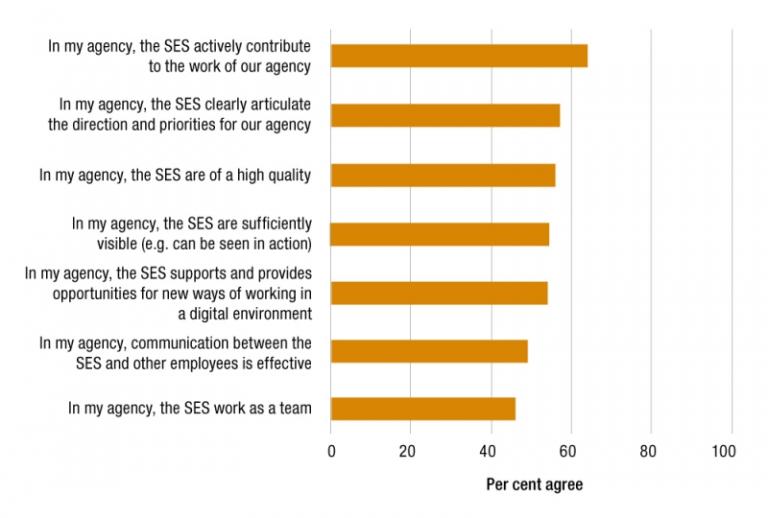 Figure 6.5 is a bar graph presenting APS employee perceptions of SES within their agency.