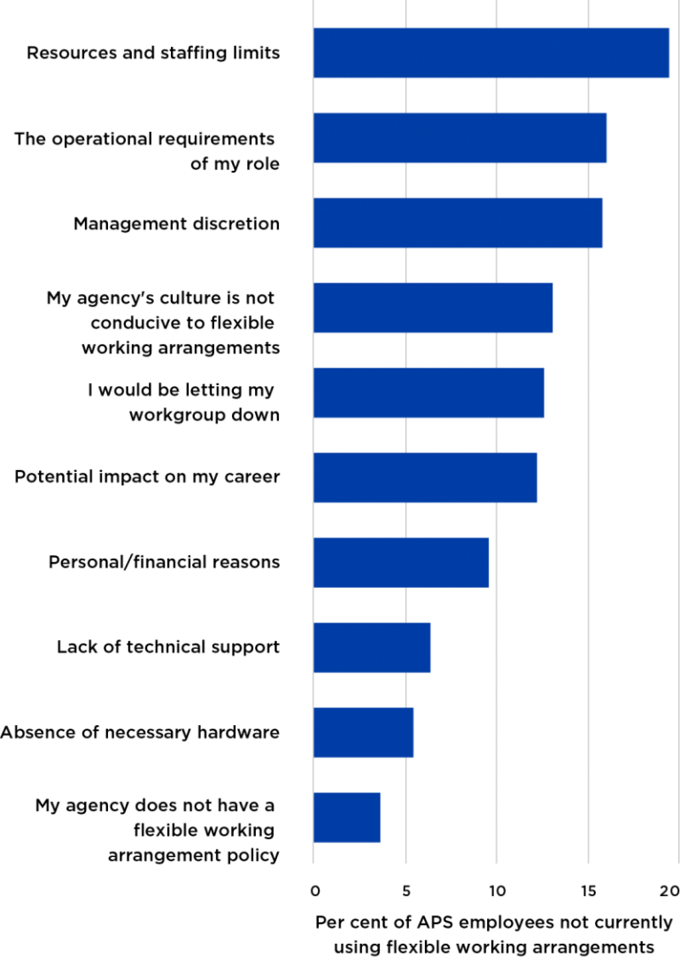 Figure 45 presents the barriers to flexible working arrangements cited among those APS employees not currently using flexible working arrangements. Nineteen per cent of these employees said that the reason they were not currently using flexible working