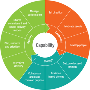 The capability model showing the elements of capability that are assessed during a review