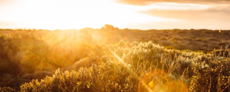 Photograph of a sunset