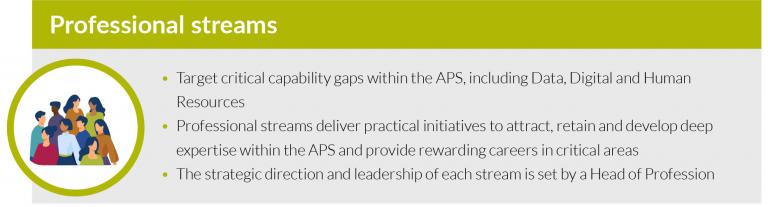 APS professional streams target critical capability gaps, including Data, Digital and Human Resources. The streams deliver practical initiatives to attract, retain and develop expertise and provide rewarding careers.