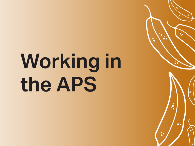 Working int the APS