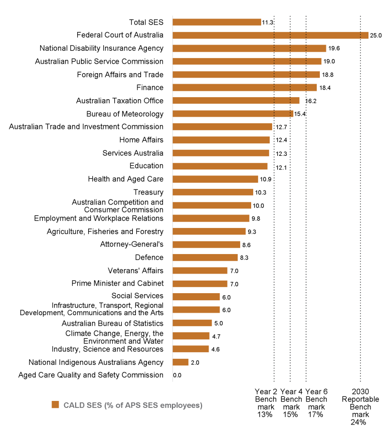 Bar graph showing the percentage of CALD SES employees by agency at 30 June 2024, as recorded in the APS Employment Database. CALD proportions are calculated as a percentage of employees who have provided their first language not exclusively in English. Graph shows benchmarks for: Year 2 (13%), Year 4 (15%) Year 6 (17%) and Reportable Benchmark.