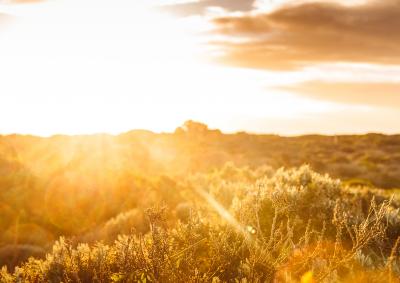 Photograph of a sunset