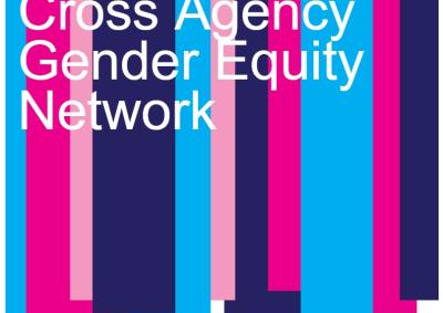 A striped blue, pink and purple background with text that says Cross Agency Gender Equity Network